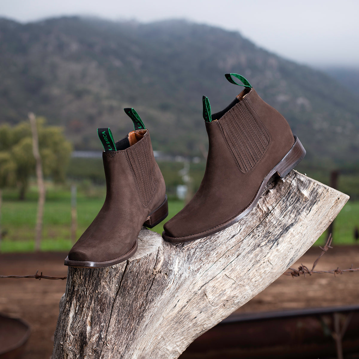 Botín Vaquero "Arandas"