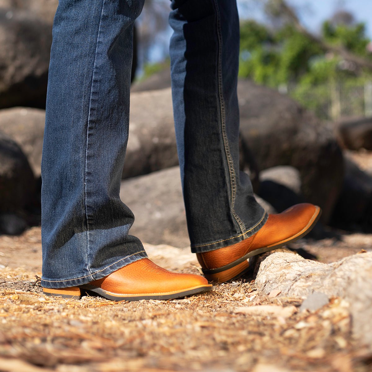 Botin Vaquero Color Miel para Hombre - Botín La Barca